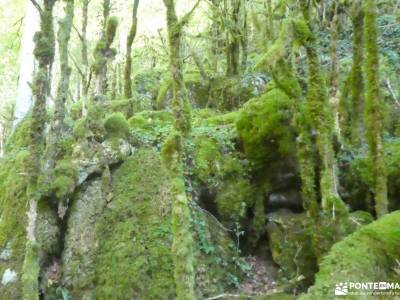 Selva de Irati - Puente del Pilar rutas o courel pueblos de navarra con encanto valle del paular pir